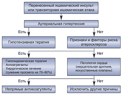 лисси мусса способ похудеть или диета номер 5 описание