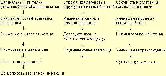 Как лечить постменопаузный атрофический вагинит Как лечить постменопаузный атрофический вагинит