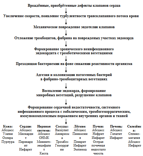 Схема патогенеза ИЭ