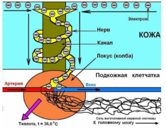 Форма акупунктурной точки (БАТ).