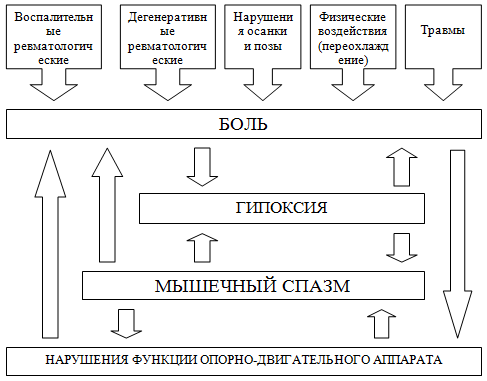 Патогенез болезненного мышечного спазма