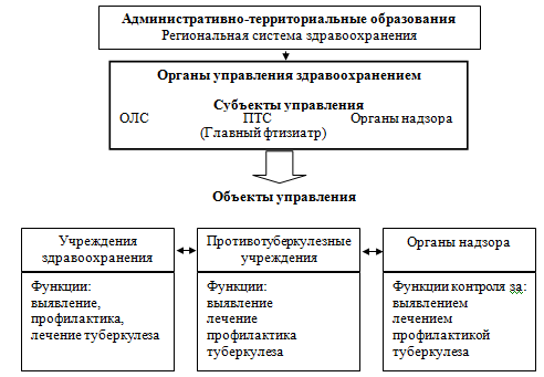 Реферат: Литература - фтизиатрия (организация противотуберкулезной работы)