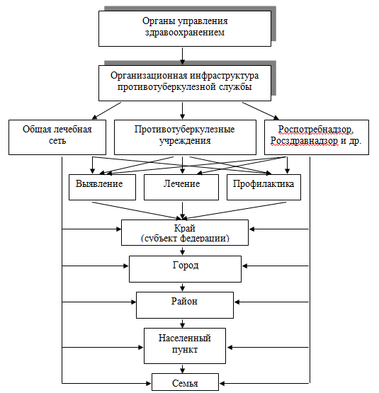 Реферат: Литература - фтизиатрия (организация противотуберкулезной работы)