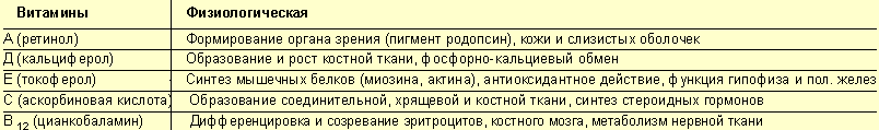 Значение некоторых витаминов в развитии организма ребенка (по И. Е. Хорошилову, 2003)