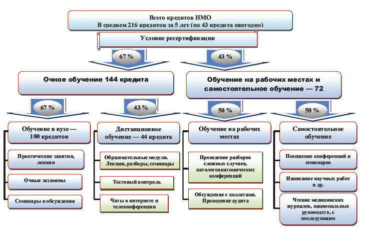 Рис. 5.5. Распределение кредитов НМО