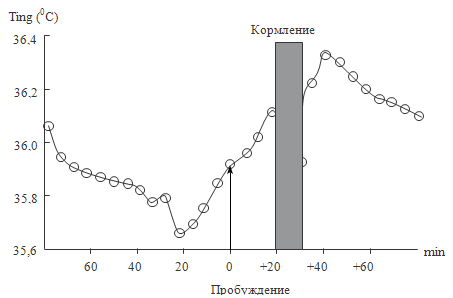 Рисунок 49. Влияние кормления на температуру тела у новорожденных детей (Chardon K et al., 2006)