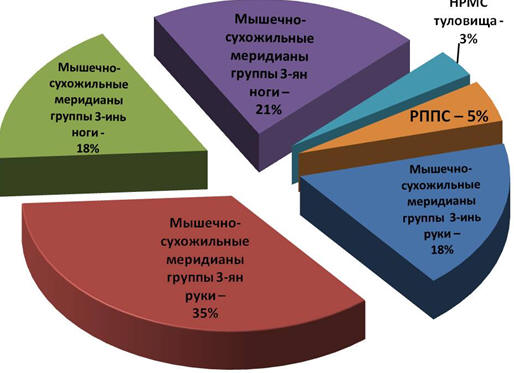 Рис. 6. Соотношение частоты встречаемости иньских и янских мышечно-сухожильных меридианов, а также статико-локомоторных синергий туловища и руки по данным ультразвукового исследования