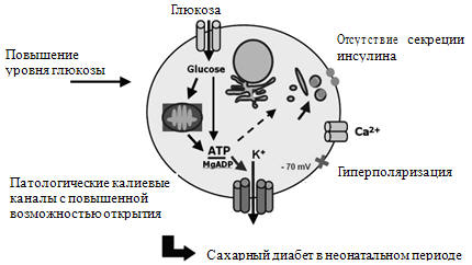  80.         (Polak M., Cav ., 2007)