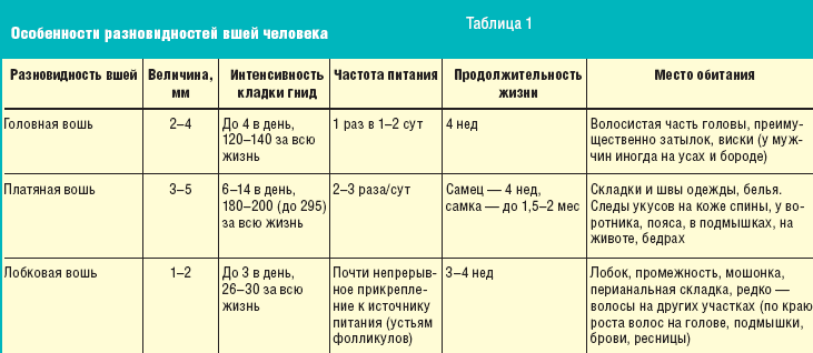 342 приказ педикулез