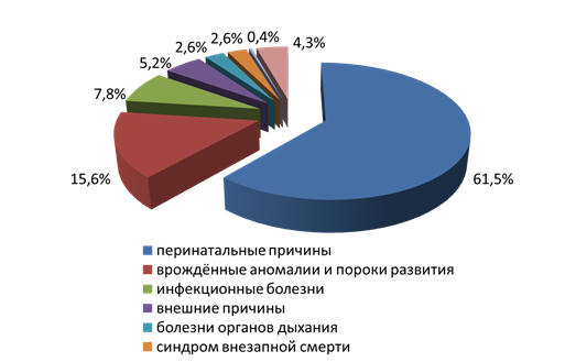 Рис. 29. Структура причин младенческой смертности в Хабаровском крае в 2013 году 