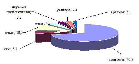 Рис. 6. Характер полученных боевых травм ветеранами (%)