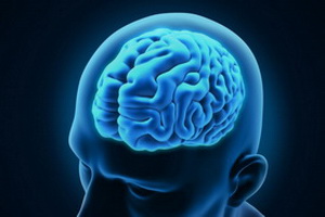 Ум человека почти не зависит от размера мозга