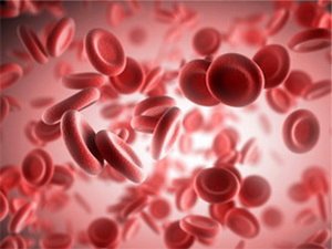 Проведено успешное редактирование генома стволовых клеток крови
