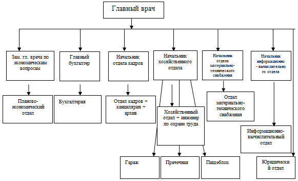 Реферат: Организационная структура медицинского учреждения