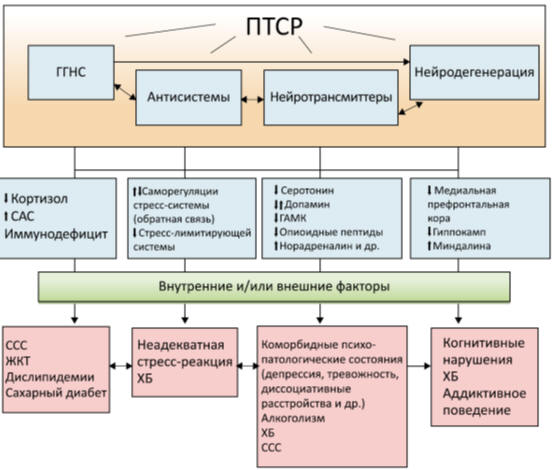 Рис. 14. Патогенетические связи развития стресс-индуцированных заболеваний на фоне ПТСР.