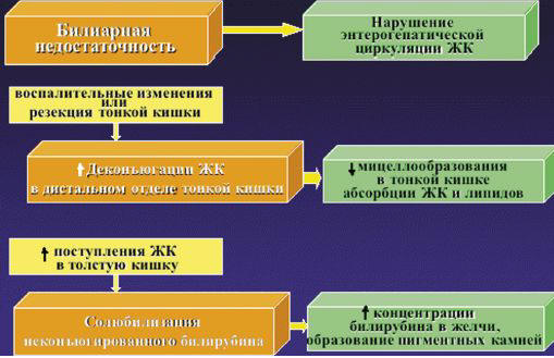Рис. 1. Основные факторы камнеобразования при БК