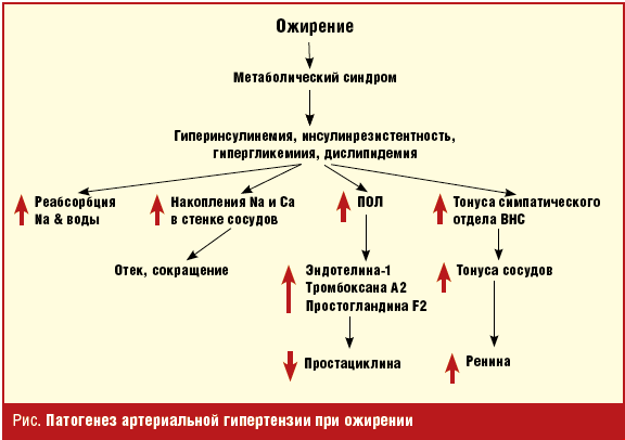 Реферат: Лечение артериальной гипертонии: антагонисты кальция