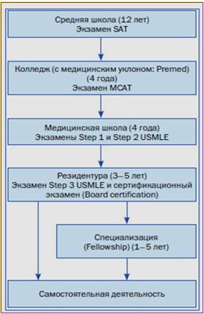 Рис. 4.13. Схема получения медицинского образования в США