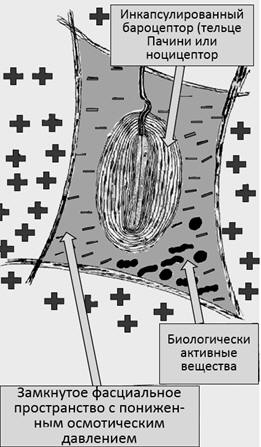 Рис. 33. Схематическая модель триг-герной точки