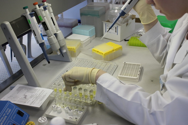 В НИЦЭМ им. Н.Ф. Гамалеи сообщили о разработке и регистрации тест-системы для назальной вакцины