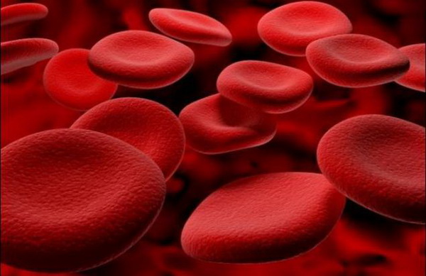 Препараты, разжижающие кровь, могут снизить смертность от коронавируса