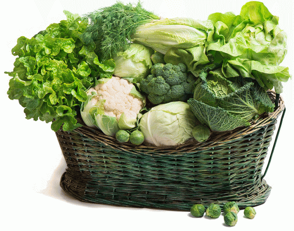 Зеленые овощи помогут при синдроме раздраженного кишечника