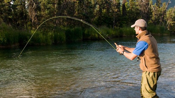Рыбалка положительно влияет на сердечно-сосудистую систему