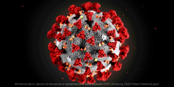 Найдены самые агрессивные штаммы коронавируса