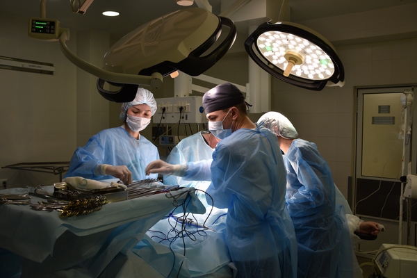 Прорыв в хирургии: впервые человеку успешно пересадили почку свиньи