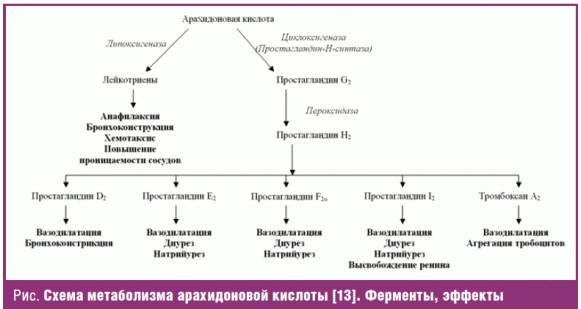 ПРИЛОЖЕНИЕ