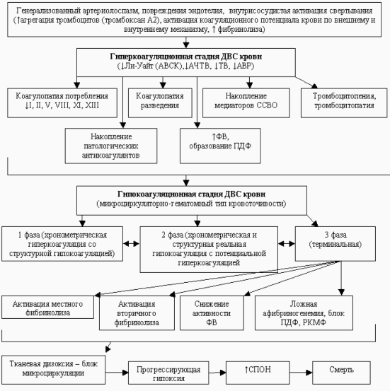 Лекция по теме Кровотечения, ДВС-синдром 