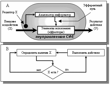 Неуправляемая простая СФЕ (А) и алгоритм работы её блока управления (В)