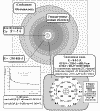 ГИДРАТИРОВАННЫЙ C60 ФУЛЛЕРЕН (HyFn = донорно-акцепторный комплекс вида C60@{H2O}n ), ОКРУЖЕННЫЙ УПОРЯДОЧЕННЫМИ ВОДНЫМИ ОБОЛОЧКАМИ