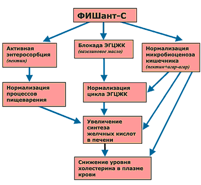 Механизм действия ФИШант-С (схема)