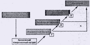    ( . rr, 1988, 1990) [21,25]. 1 - 3 - ,    