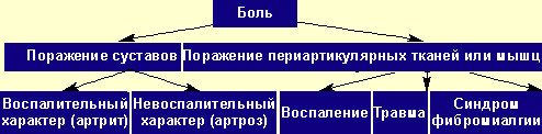 Дифференциальный диагноз болевого синдрома в ревматологии