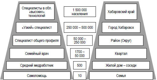 Двойная пирамида медицинского обслуживания населения Хабаровского края