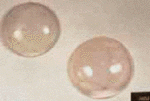 Две гидрогелиевые линзы с измененным цветом - розовая и серая