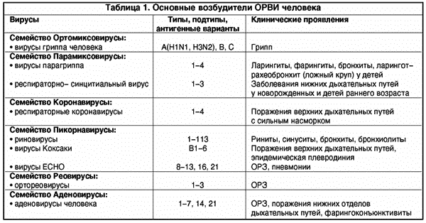 Реферат: Возбудители острых респираторных заболеваний