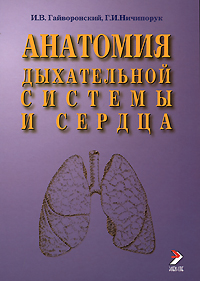 Анатомия дыхательной системы и сердца